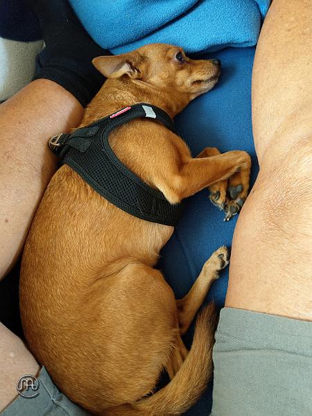 Jerry_20200905_003.jpg