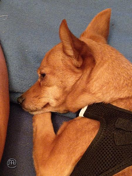 Jerry_20200905_010.jpg