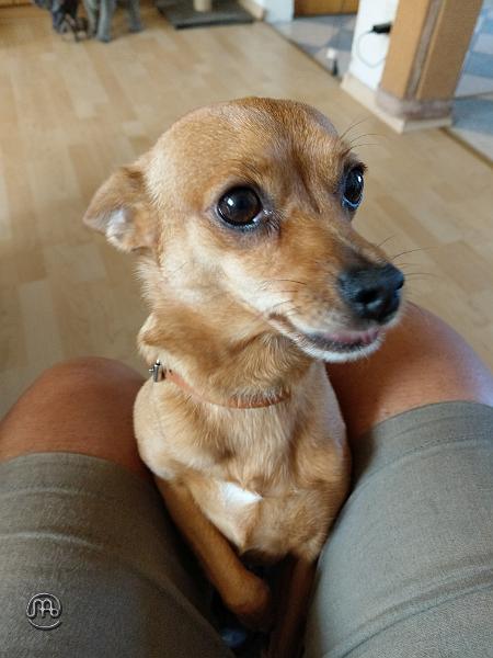 Jerry_20200920_002.jpg