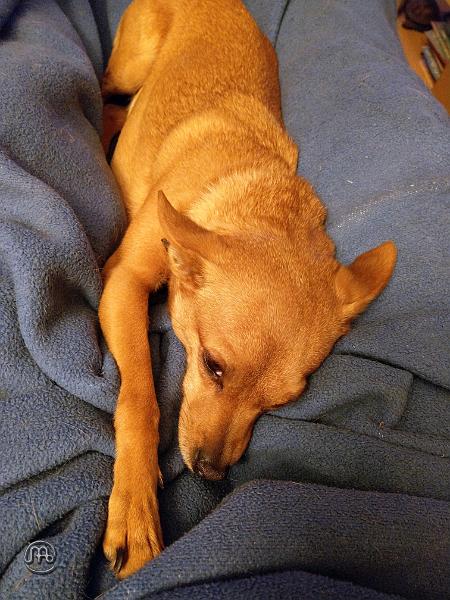 Jerry_20201114_001.jpg