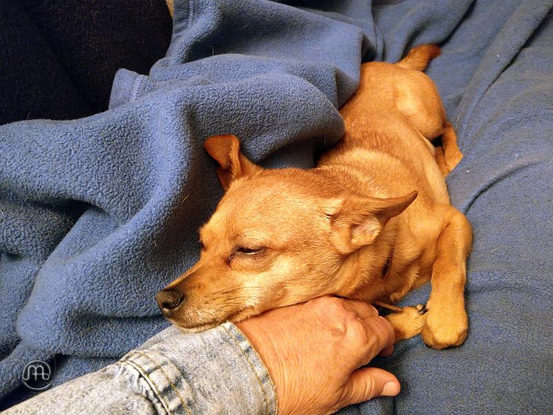 Jerry_20201117_002.jpg