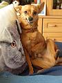 Jerry_20200920_005